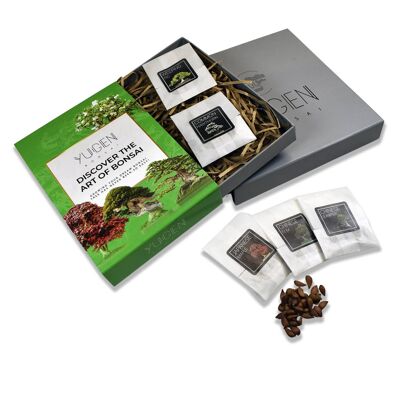 Bonsai Seed Collection Gift Box