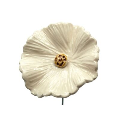 Cornflower white large 8 cm