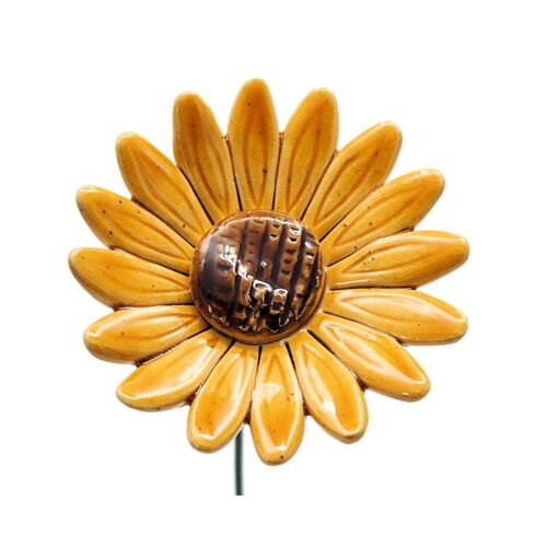 Sunflower 6.5 cm
