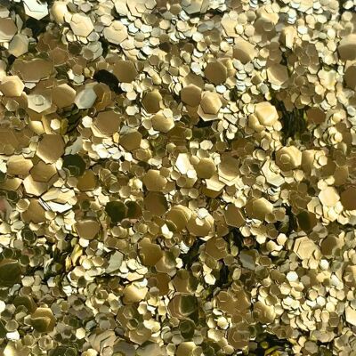 Mélange de paillettes écologiques Gold Rush
