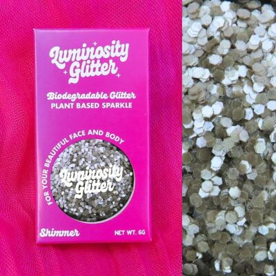 Silver Mist Chunky Eco Glitter
