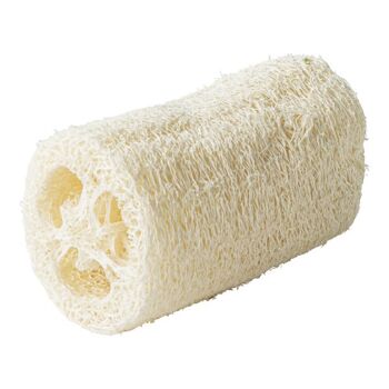 Gommage éponge luffa 1