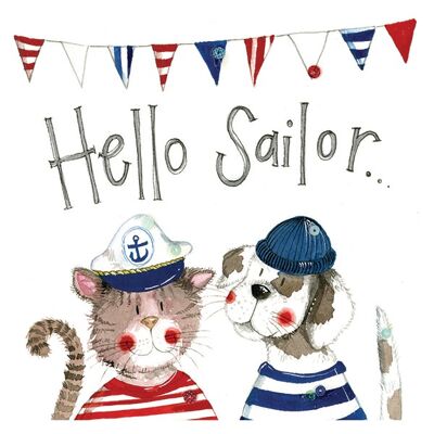 Hello sailor coaster
