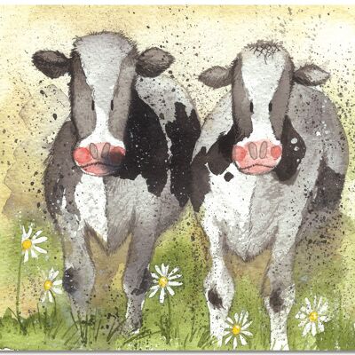 Curious cows placemat