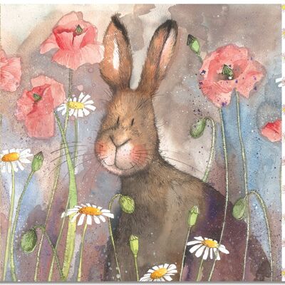 Hare and poppies placemat