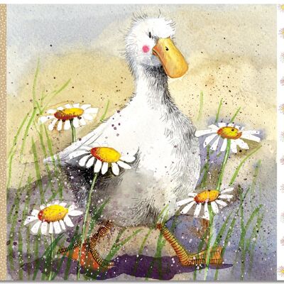 Duck in the daisies placemat