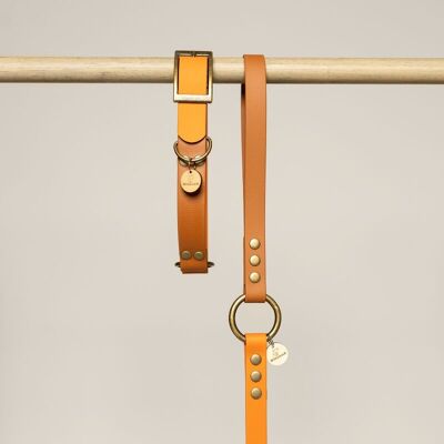 BIOTHANE BROWN AND ORANGE DOG LEASH WITH HANDLE