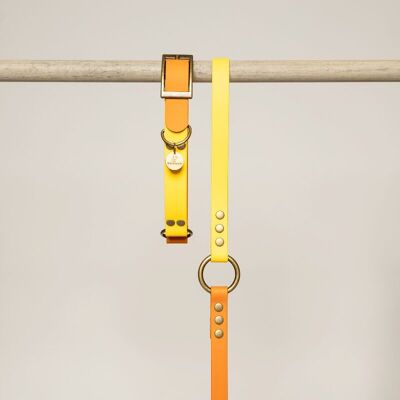 LAISSE POIGNEE POUR CHIEN BIOTHANE JAUNE ET ORANGE