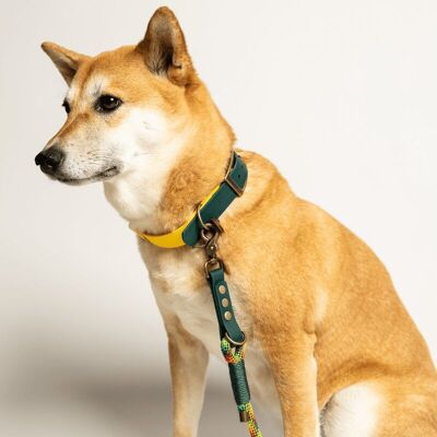 Collare per cani BioThane® bicolore - VERDE SMERALDO e GIALLO