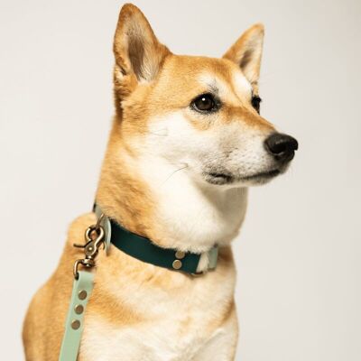 Collare per cani in BioThane® bicolore - VERDE SMERALDO e VERDE MARE