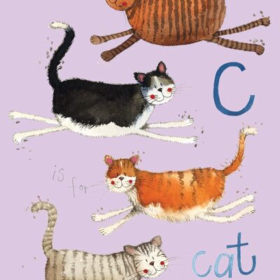 C is for cat soft medium notebook