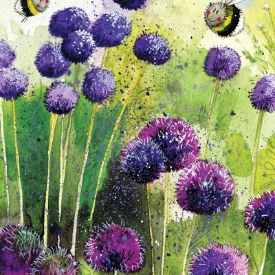 Alliums