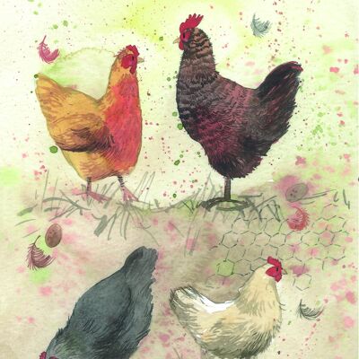 Chickens pvc jacket notebook
