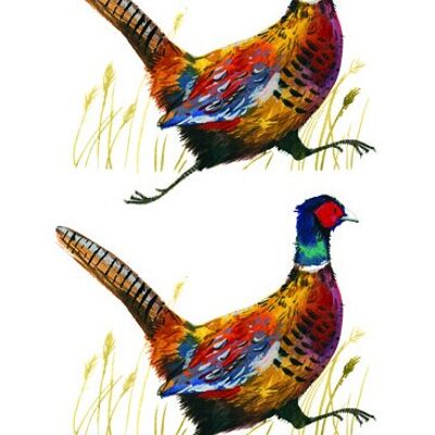 Pheasants bookmark