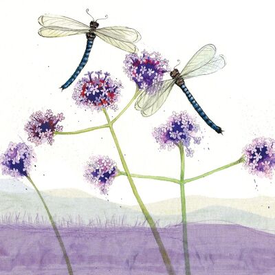 Dragonflies