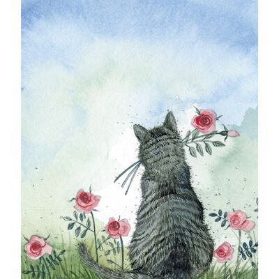 Cat and roses