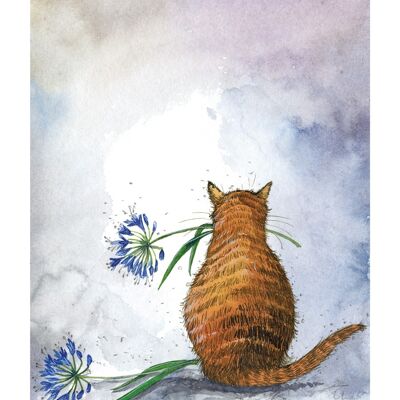 Cat and agapanthus
