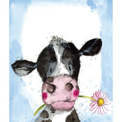 Cow and daisy