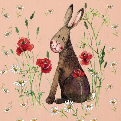 Hare and daisies small canvas