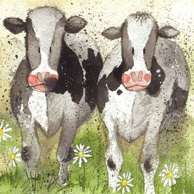 Curious cows small canvas