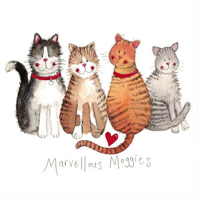 Marvellous moggies medium canvas