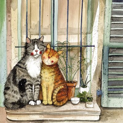 Provence cats large canvas