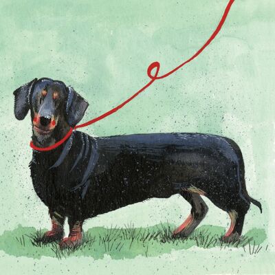 Dachshund blank card