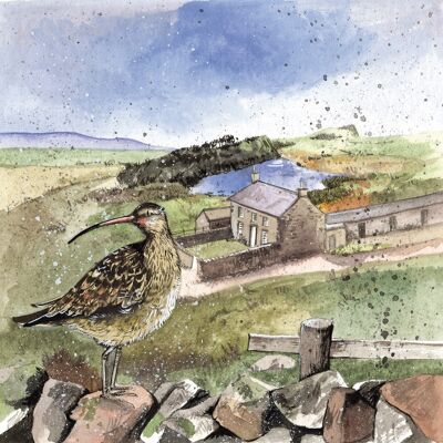 Curlew's rest blank card