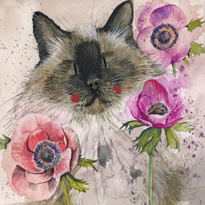 Cat in the anenomes blank card