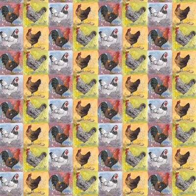 Checkerboard chickens gift wrap