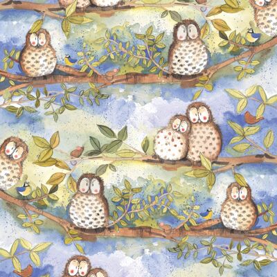 Owls gift wrap