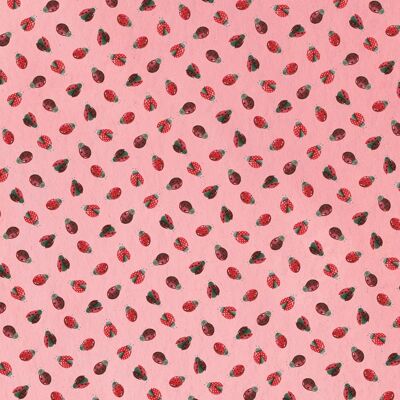 Ladybirds gift wrap