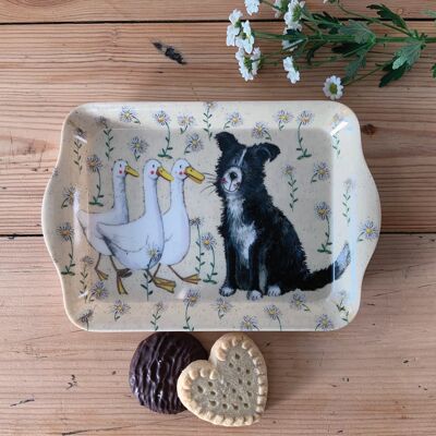 Small daisyfield farm tray