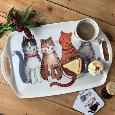 Large cat tray