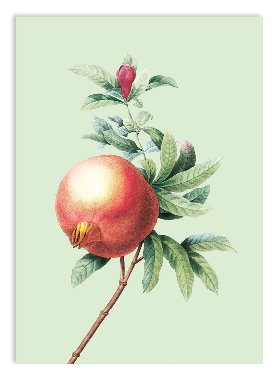 Miniprint A5 Gravity