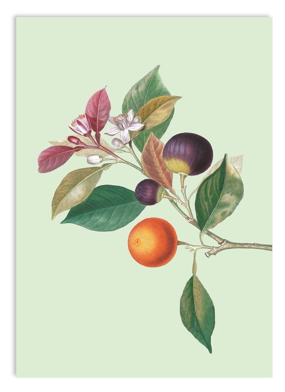 Miniprint A5 Pensionamento