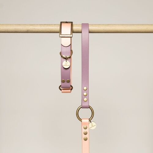 Collier chien en BioThane® bi-color - ROSE et VIOLET