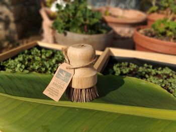 BROSSE À LÉGUMES en fibres d’agave 6