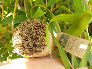 BROSSE À LÉGUMES en fibres d’agave 7