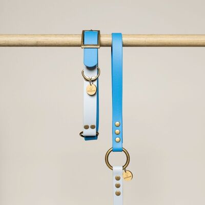 Bi-color BioThane® dog collar - AZUR and CIEL