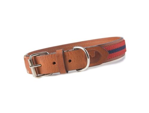 Baseball Red Collar