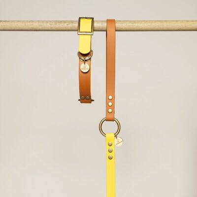Collare per cani BioThane® bicolore - MARRONE e GIALLO