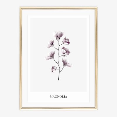 Poster 'Magnolia' - DIN A3