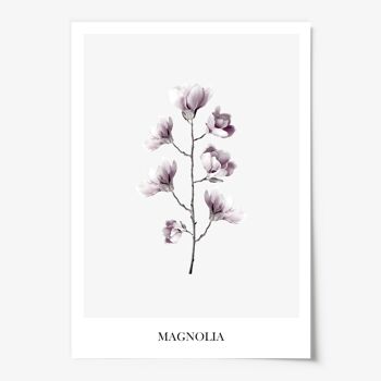 Affiche 'Magnolia' - DIN A3 2