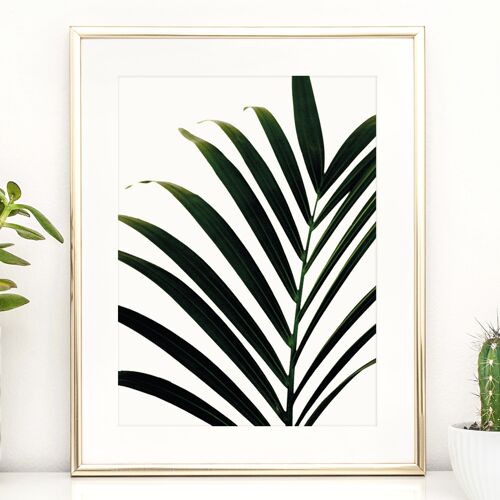 Poster 'Palm Leaf' - DIN A3