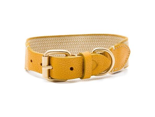 James Yellow collar