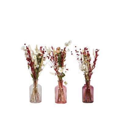 Flores secas - Fiesta del té floral - Rojo