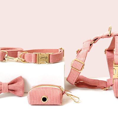 Kit completo per cani personalizzato in velluto a coste corallo