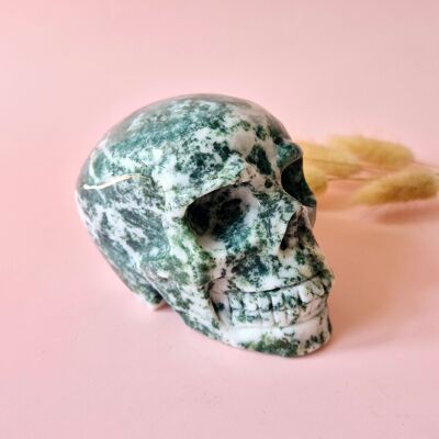 Teschio di pietra preziosa XL Teschio di agata muschiata n. 4 - Teschio da 10 cm e 544 grammi