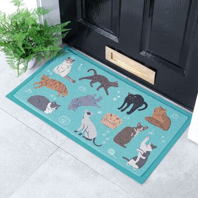 Felpudo de gatos para interior y exterior (70 x 40 cm)